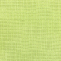 Canvas-Parrot