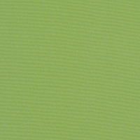 Canvas-Ginkgo
