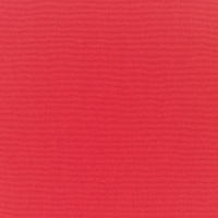 Canvas-Logo-Red