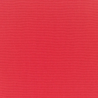 Canvas-Logo-Red
