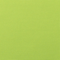 Canvas-Macaw