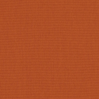 Canvas-Rust