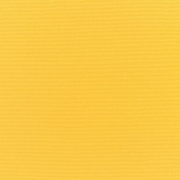 Canvas-Sunflower-Yellow