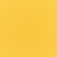 Canvas-Sunflower-Yellow