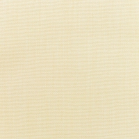 Canvas-Vellum
