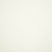 Canvas-White