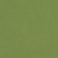 Spectrum-Cilantro