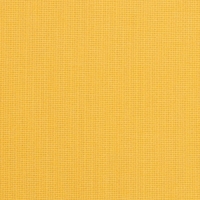 Spectrum-Daffodil