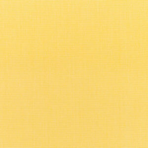 Canvas Buttercup