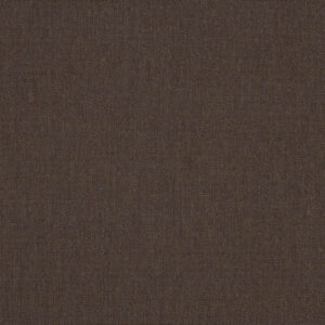 Canvas Java