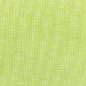 Canvas Parrot