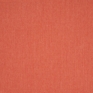 Canvas Persimmon