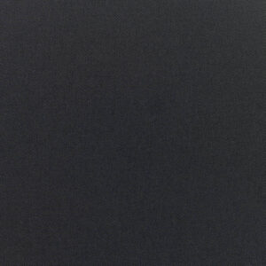 Canvas Raven Black