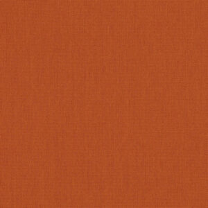 Canvas Rust