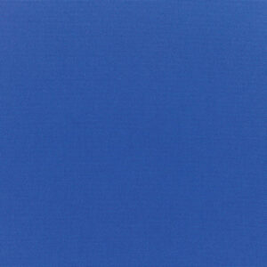 Canvas True Blue
