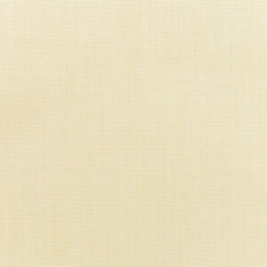 Canvas Vellum