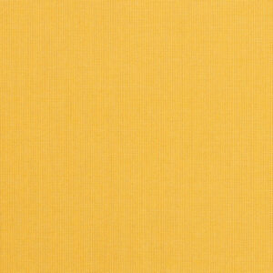 Spectrum Daffodil